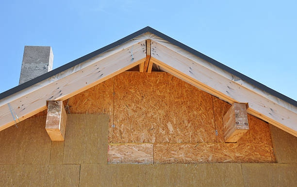 Best Storm Damage Siding Repair  in Carbon Hill, AL